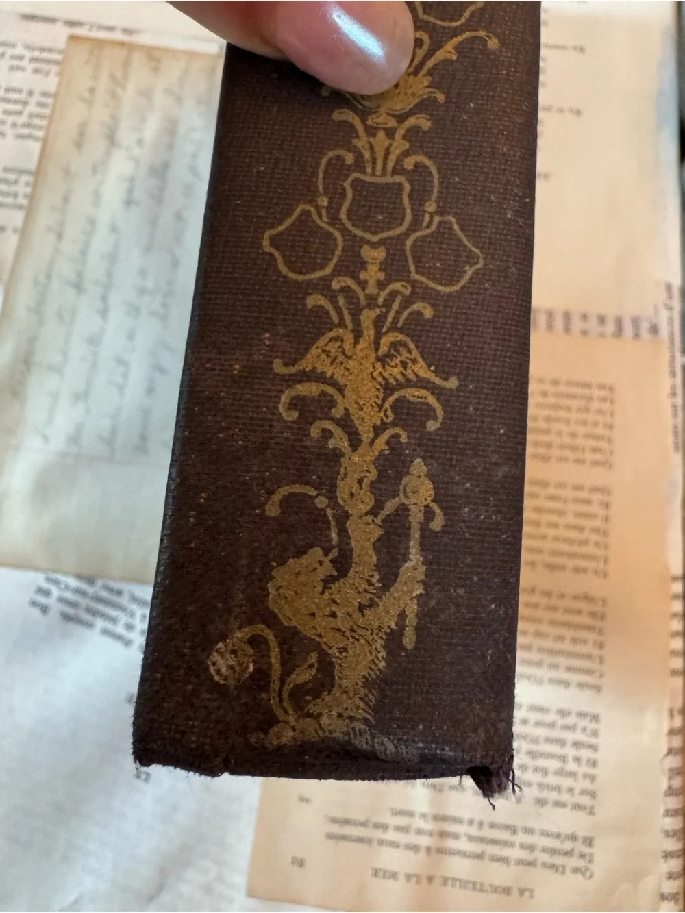 Antique 1900 “Crichton” by William Harrison Ainsworth | Victorian Hardcover Book